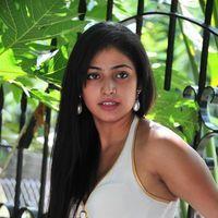 Haripriya New Photo Shoot - Pictures | Picture 115608